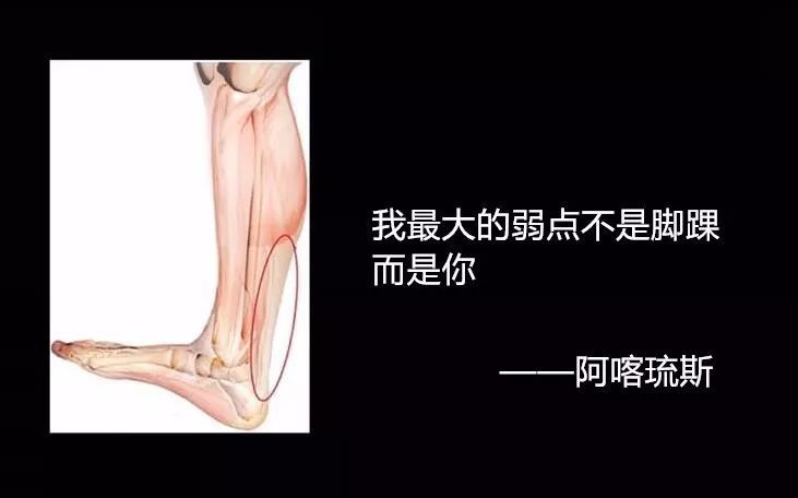 98f13708210194c4756888