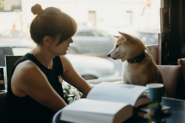 adult-animal-lover-blur-2925326
