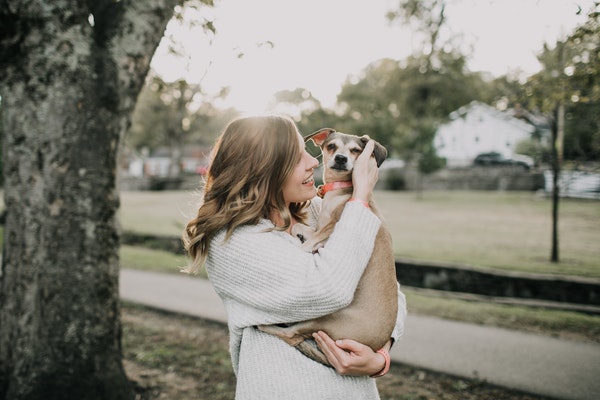 animal-carry-cute-1975989
