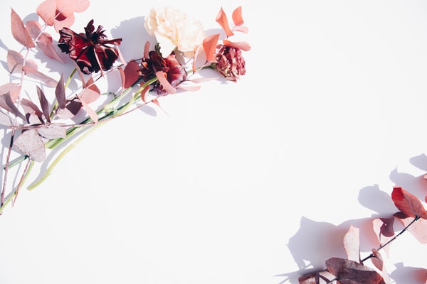 art-border-card-2395249
