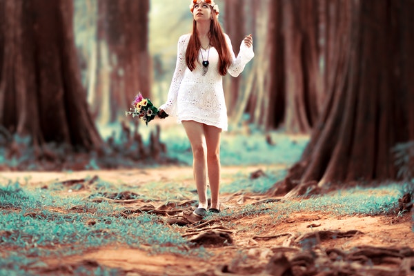 beautiful-blur-bouquet-573302-1