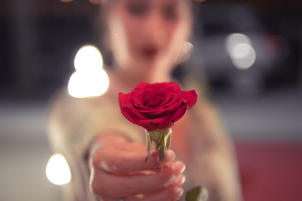blurred-background-close-up-flower-1324995-1