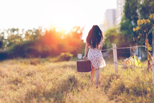 dawn-fashion-fence-157929-2