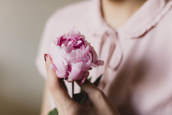 flora-flower-hand-112324-1