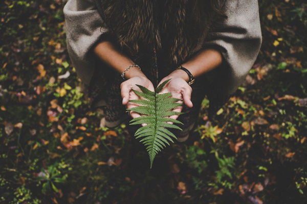 pexels-photo-612892