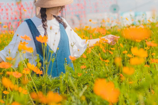 photo-of-woman-on-flower-field-3156647-2