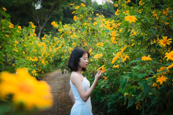 woman-in-white-dress-standing-near-yellow-flowers-3866046