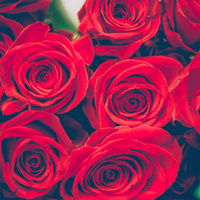 女生节给喜欢的女生送什么礼物好？最具创意的送礼攻略分享！