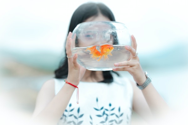 女生会在乎男生是否有钱吗？妹子们想要的竟然是这些！