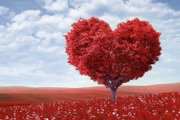 和女生聊什么话题，才能让她喜欢你？