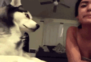 追女孩子时的聊天