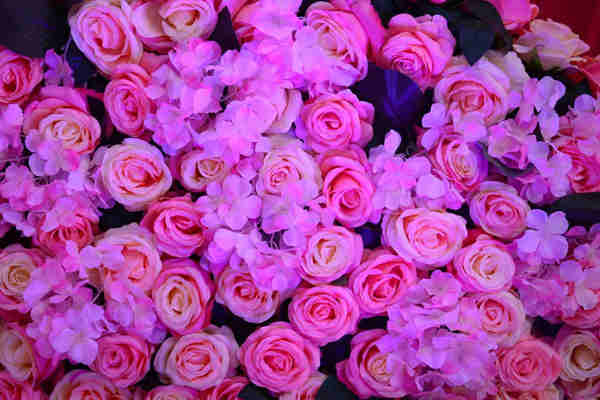 妇女节送女朋友什么礼物最好？送什么礼物既有创意又显诚意？