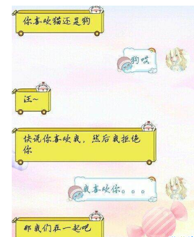 你喜欢猫还是狗