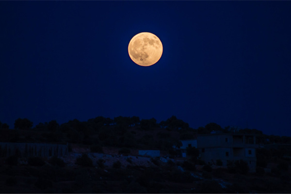 怎么给女生发晚安短信？3类经典晚安短信问候分享给你！