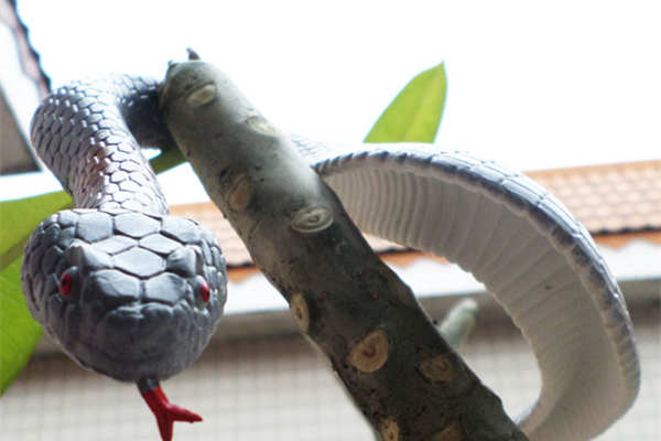 愚人节给女生送什么礼物好？愚人节最具创意的搞怪礼物大盘点！