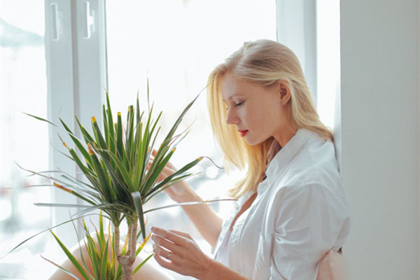 春节相亲怎么聊天，聊什么？