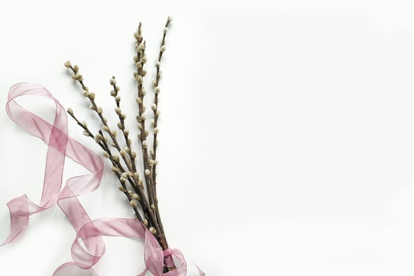 异地恋该怎么维持